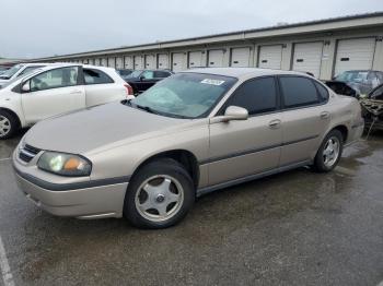 Salvage Chevrolet Impala