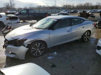  Salvage Nissan Maxima