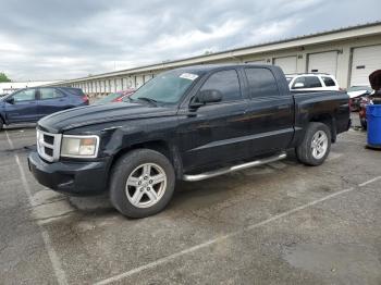  Salvage Dodge Dakota