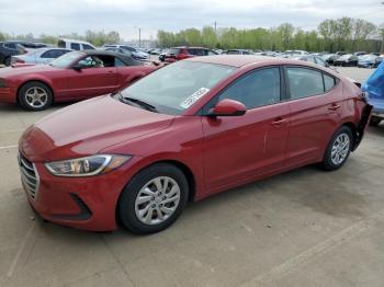  Salvage Hyundai ELANTRA