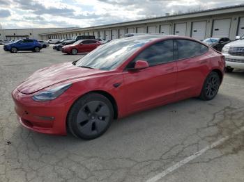  Salvage Tesla Model 3