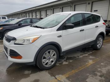  Salvage Ford Escape
