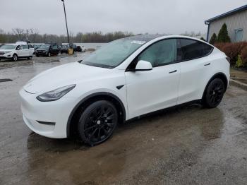  Salvage Tesla Model Y