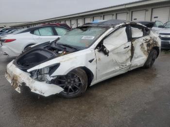  Salvage Tesla Model 3