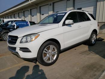  Salvage Mercedes-Benz M-Class