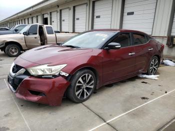  Salvage Nissan Maxima
