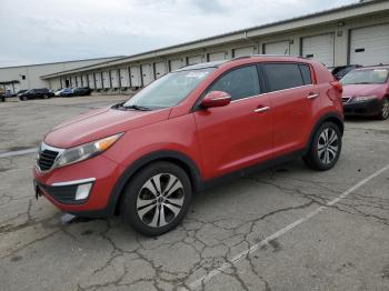  Salvage Kia Sportage