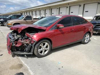  Salvage Ford Focus