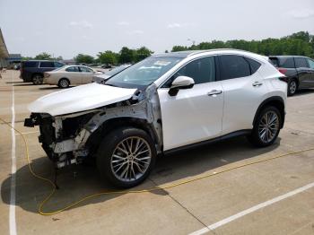  Salvage Lexus NX
