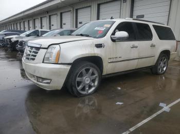  Salvage Cadillac Escalade