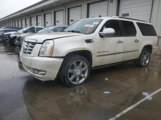  Salvage Cadillac Escalade