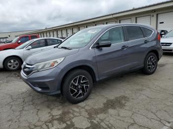  Salvage Honda Crv
