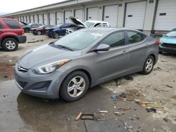  Salvage Hyundai ELANTRA