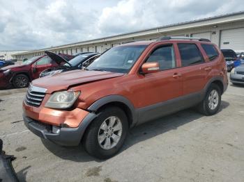  Salvage Kia Borrego