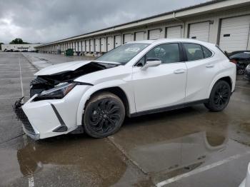  Salvage Lexus Ux