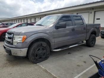  Salvage Ford F-150