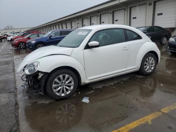  Salvage Volkswagen Beetle