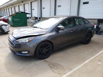 Salvage Ford Focus