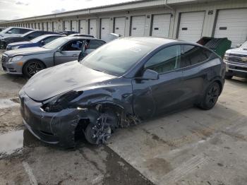  Salvage Tesla Model Y