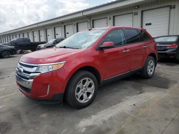  Salvage Ford Edge