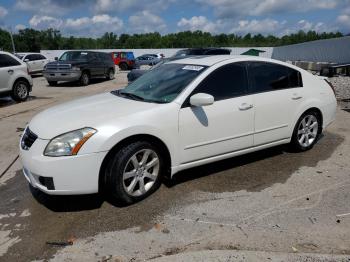  Salvage Nissan Maxima