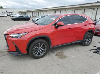  Salvage Lexus NX