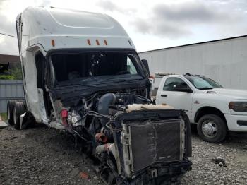  Salvage Freightliner Cascadia 1