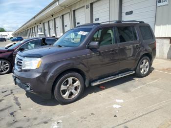  Salvage Honda Pilot