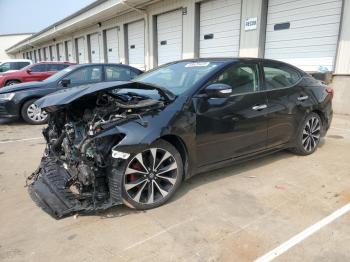  Salvage Nissan Maxima