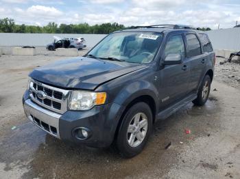 Salvage Ford Escape