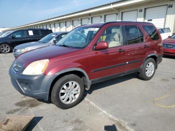  Salvage Honda Crv