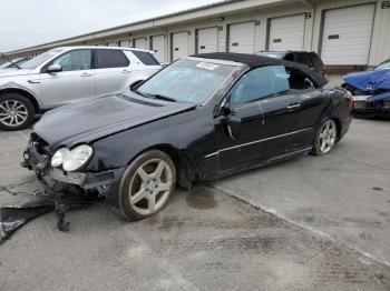  Salvage Mercedes-Benz Clk-class
