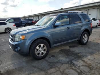  Salvage Ford Escape