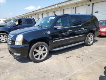  Salvage Cadillac Escalade