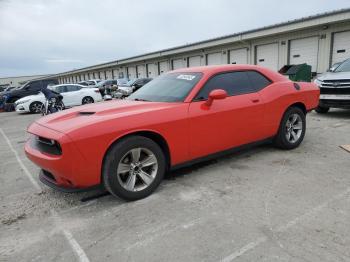  Salvage Dodge Challenger