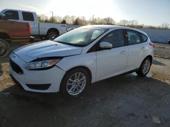  Salvage Ford Focus
