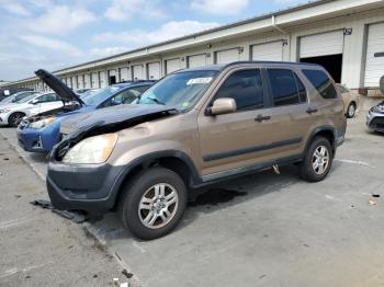  Salvage Honda Crv