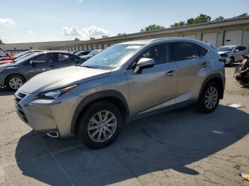  Salvage Lexus NX