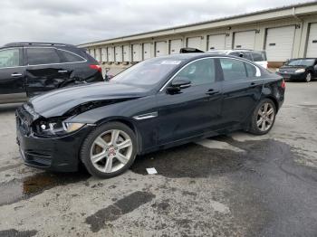  Salvage Jaguar XE