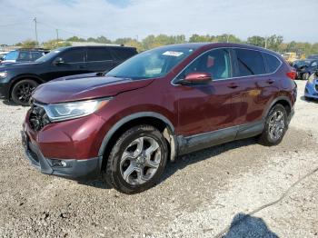  Salvage Honda Crv