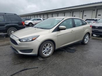  Salvage Ford Focus