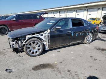  Salvage Hyundai Equus
