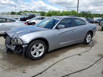  Salvage Dodge Charger