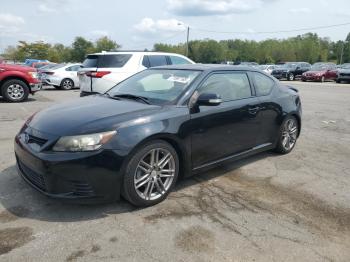  Salvage Toyota Scion