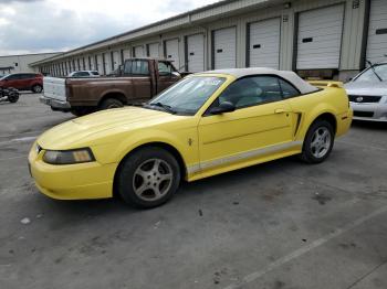 Salvage Ford Mustang