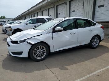  Salvage Ford Focus
