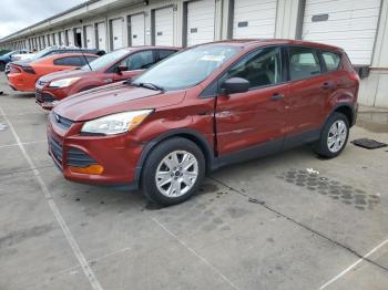  Salvage Ford Escape