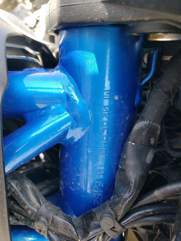 Ducati Scrambler Desert Sled Image 3