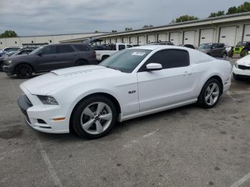  Salvage Ford Mustang