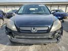 Honda Crv Lx Image 9